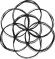LifeCreation – ŽivoTvorba